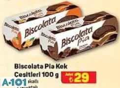 ŞÖLEN BİSCOLATA PİA KEK 100 G ÇEŞİTLERİ